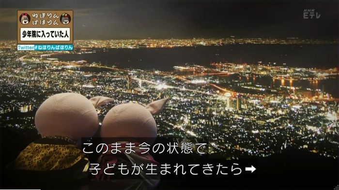 ねほりんぱほりんのキャプ247