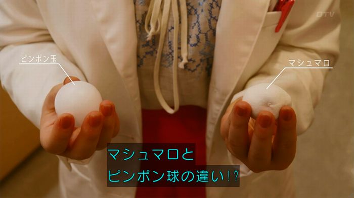 人は見た目が100パーセントのキャプ255