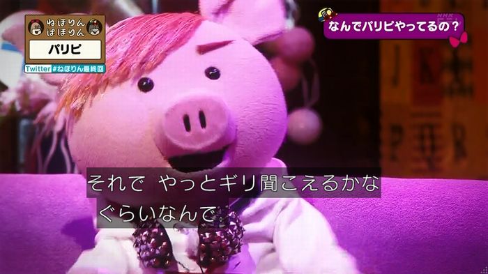 ねほりん 最終回のキャプ229