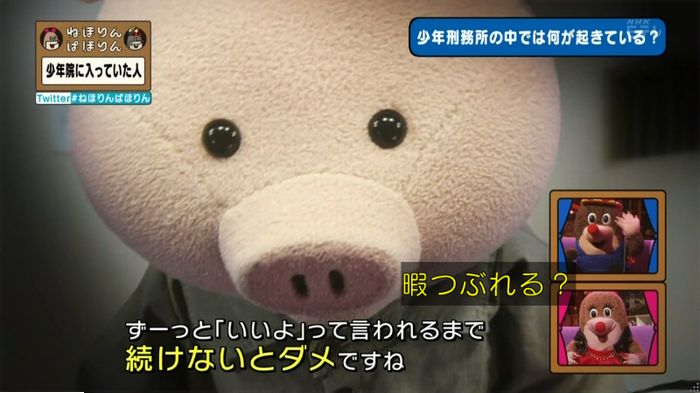 ねほりんぱほりんのキャプ176