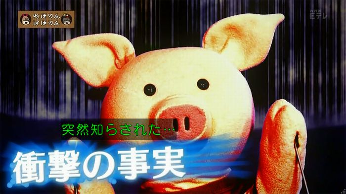ねほりん 養子回のキャプ8