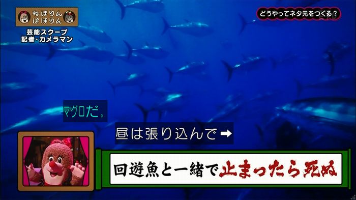 ねほりん 芸能スクープ回のキャプ60