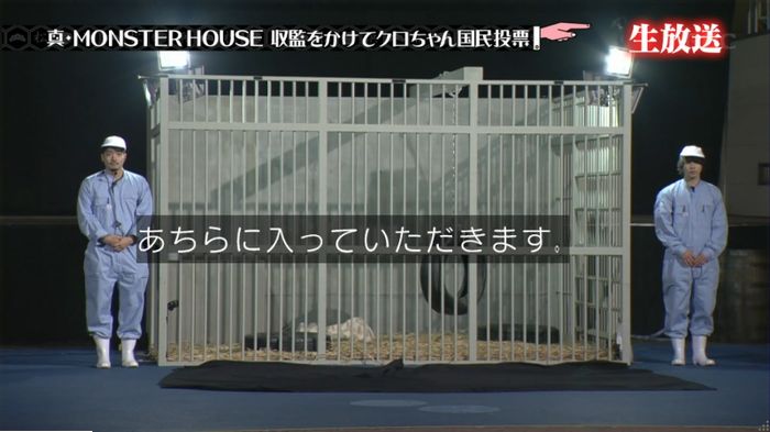 水ダウのキャプ307