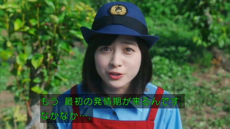 いきもの係 4話のキャプ264