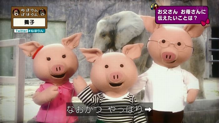 ねほりん 養子回のキャプ442