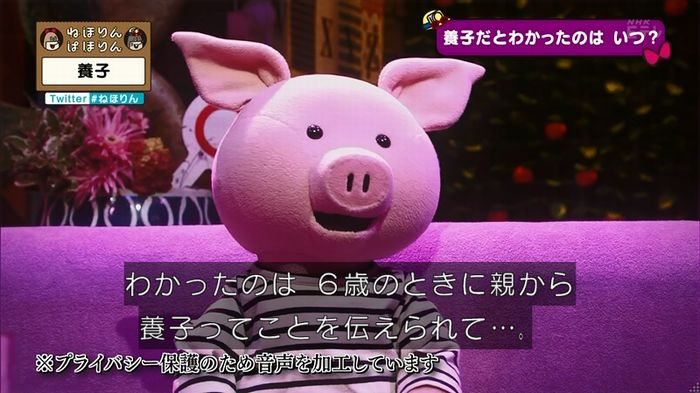 ねほりん 養子回のキャプ37