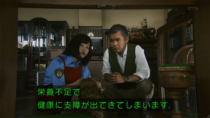 警視庁いきもの係 8話のキャプ237