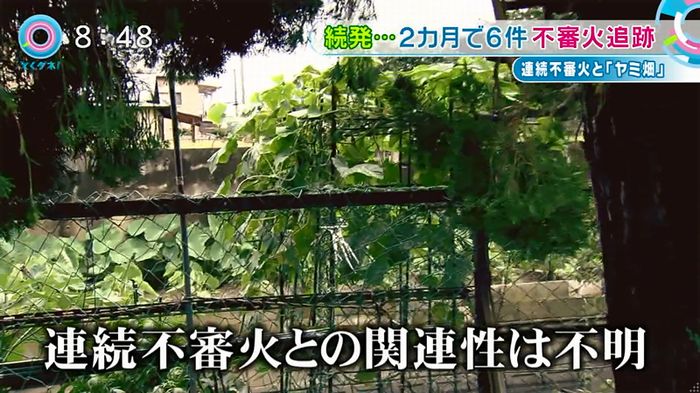 とくダネ!のキャプ61