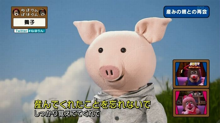 ねほりん 養子回のキャプ333