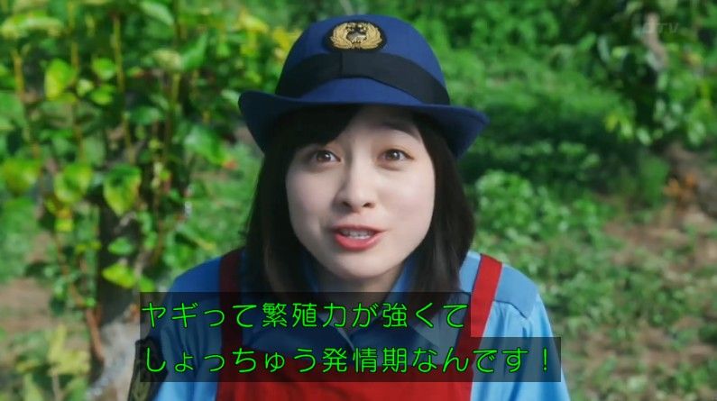 いきもの係 4話のキャプ262