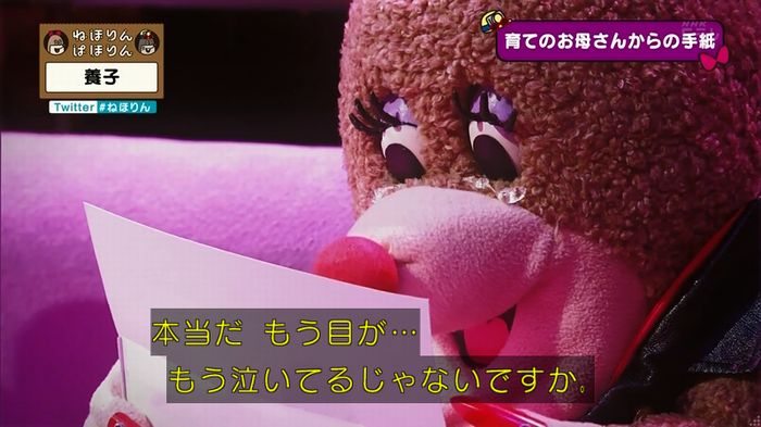 ねほりん 養子回のキャプ387