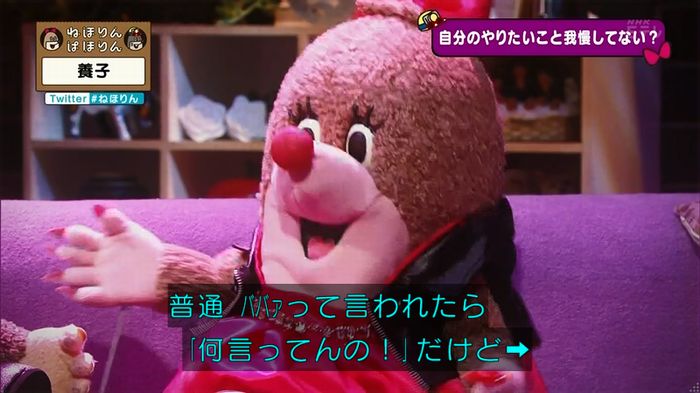 ねほりん 養子回のキャプ370