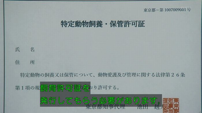 いきもの係 3話のキャプ764
