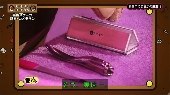 ねほりん 芸能スクープ回のキャプ220