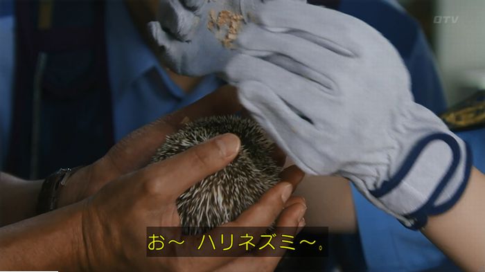 警視庁いきもの係 9話のキャプ176