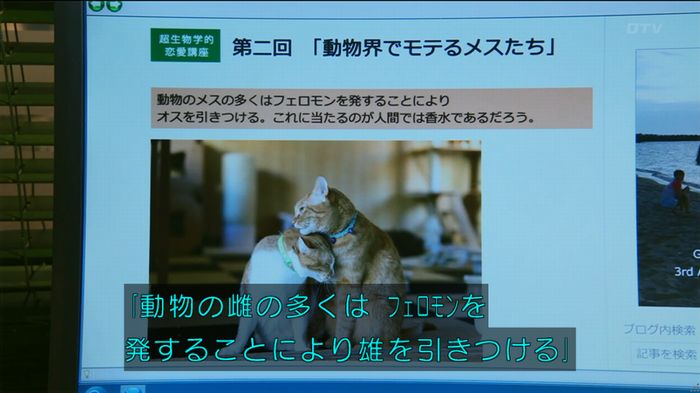 人は見た目が100パーセントのキャプ446