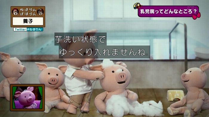 ねほりん 養子回のキャプ52