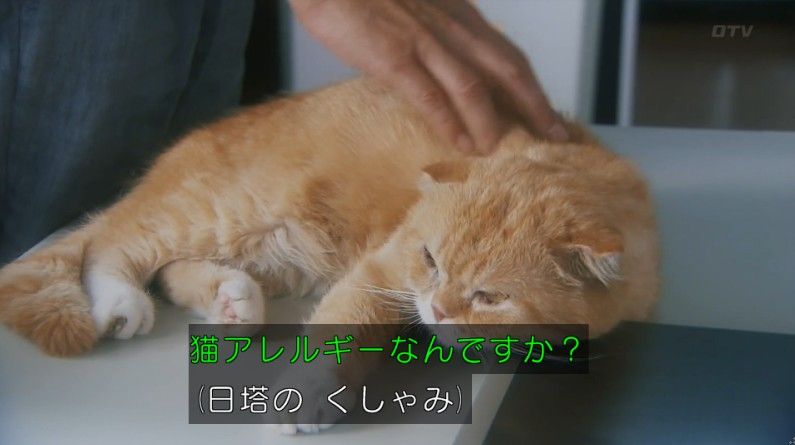 いきもの係 4話のキャプ479