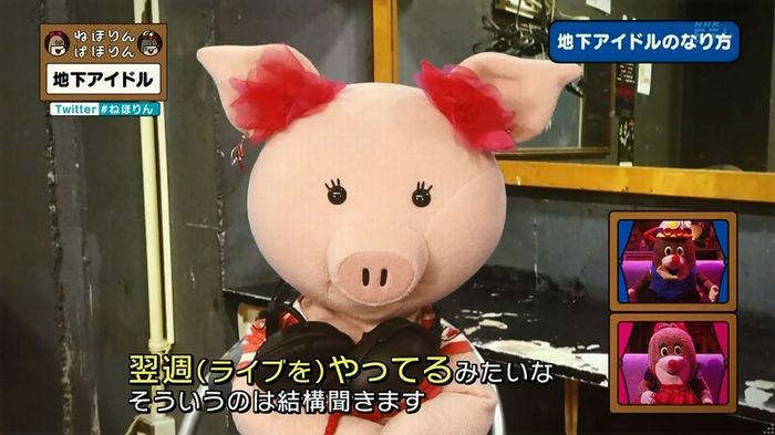 ねほりん 地下アイドル回のキャプ201