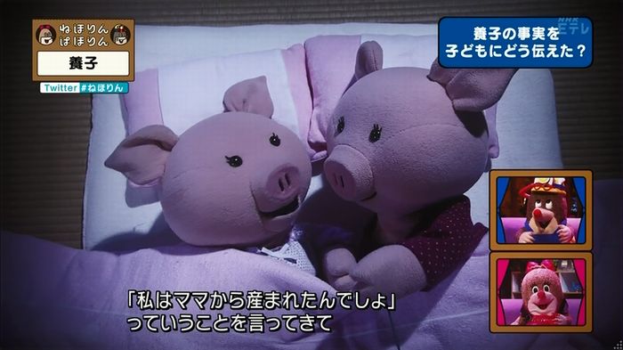 ねほりん 養子回のキャプ127