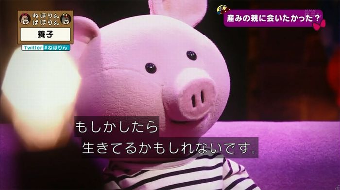 ねほりん 養子回のキャプ284