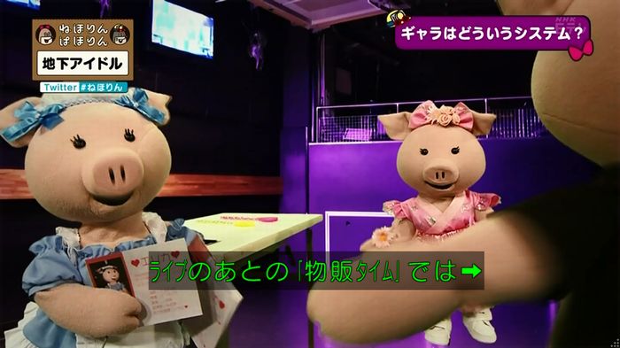 ねほりん 地下アイドル回のキャプ181