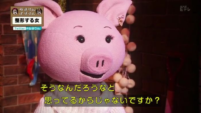 ねほりんぱほりんのキャプ38