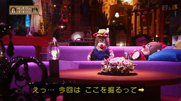 ねほりん 養子回のキャプ11