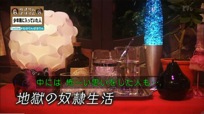 ねほりんぱほりんのキャプ155
