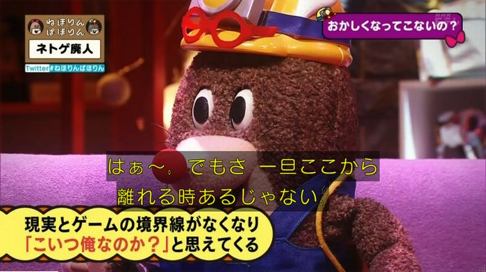 ねほりんネトゲ廃人のキャプ110