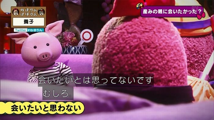 ねほりん 養子回のキャプ295