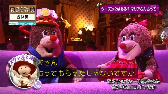 ねほりん 最終回のキャプ64