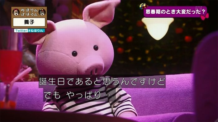 ねほりん 養子回のキャプ242