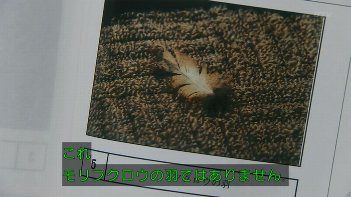 警視庁いきもの係 8話のキャプ281
