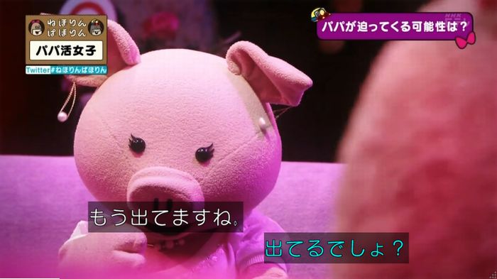 ねほりんぱほりんのキャプ399