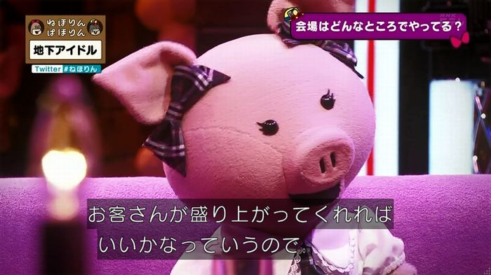 ねほりん 地下アイドル回のキャプ99