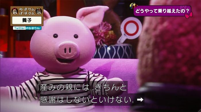 ねほりん 養子回のキャプ261
