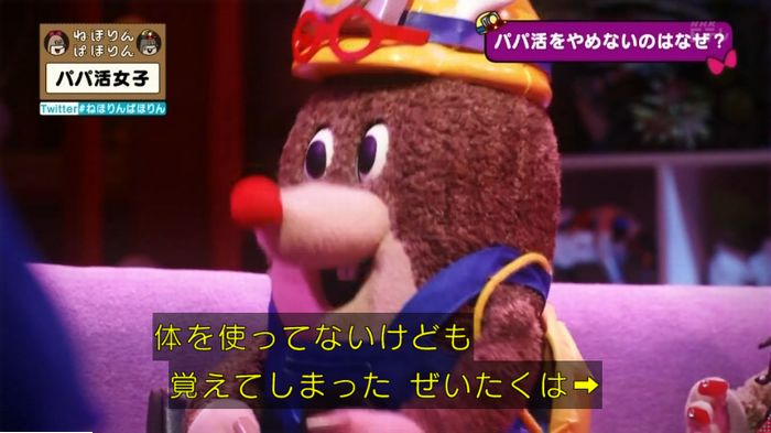 ねほりんぱほりんのキャプ450