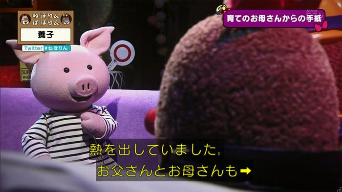 ねほりん 養子回のキャプ407