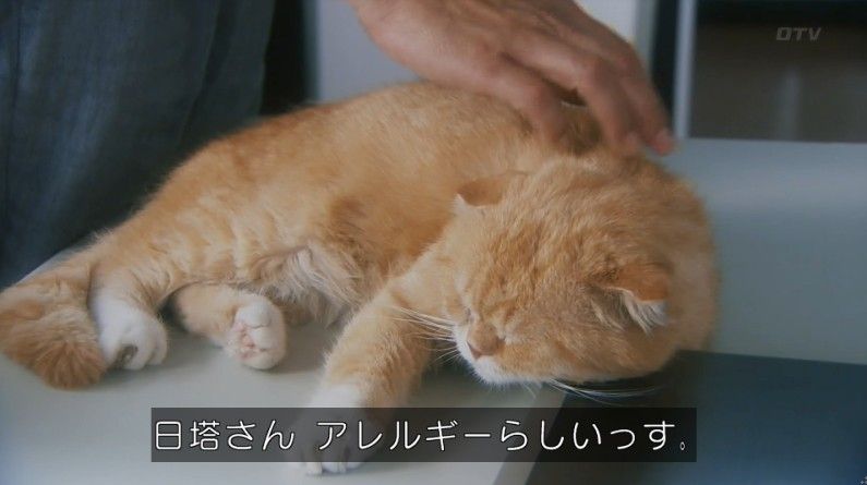 いきもの係 4話のキャプ478
