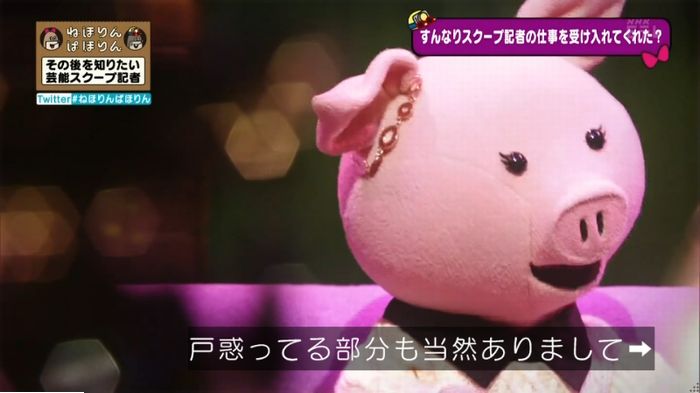 ねほりんぱほりんのキャプ410