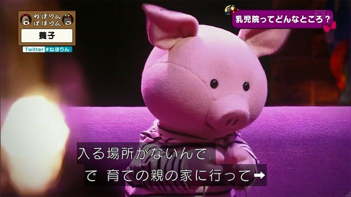 ねほりん 養子回のキャプ48