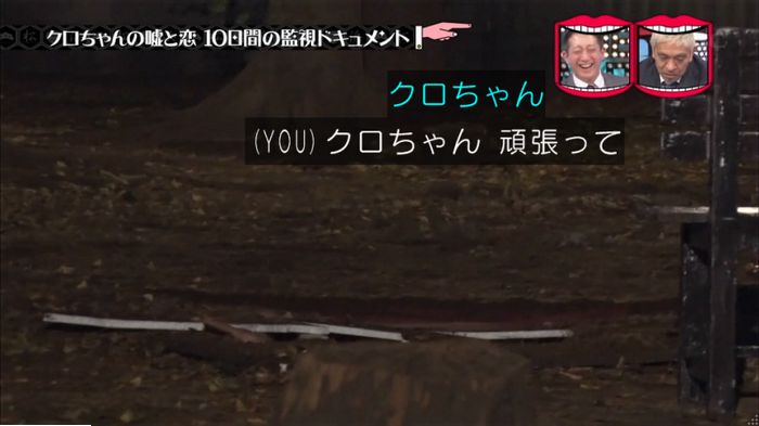 水曜日のダウンタウンのキャプ295