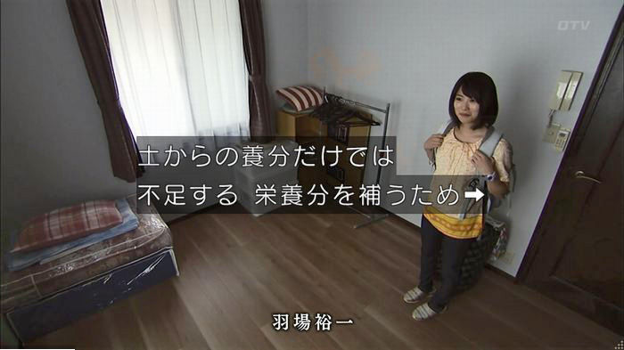 ウツボカズラの夢6話のキャプ618