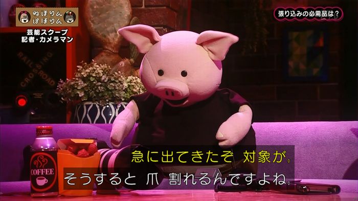 ねほりん 芸能スクープ回のキャプ204