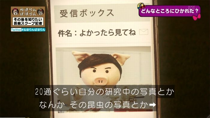 ねほりんぱほりんのキャプ400