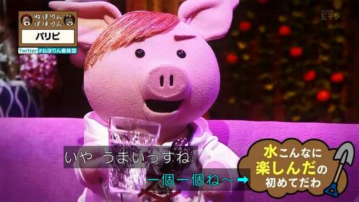 ねほりん 最終回のキャプ360