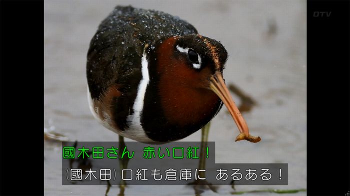 人は見た目が100パーセントのキャプ451