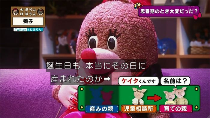 ねほりん 養子回のキャプ246