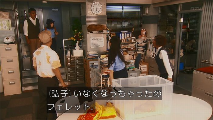 警視庁いきもの係 8話のキャプ398